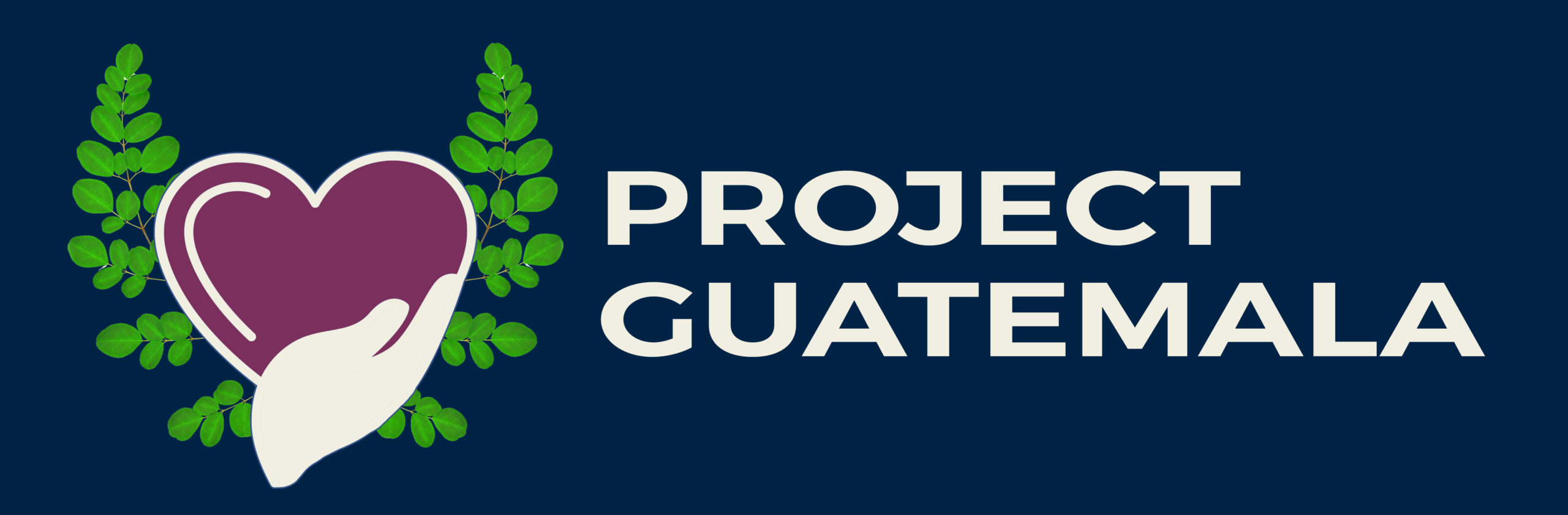 Project Guatemala dark